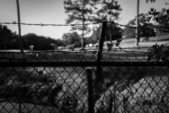 A photograph titled Evening quiet.